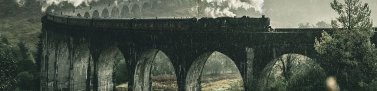 Interacción tren con Riel