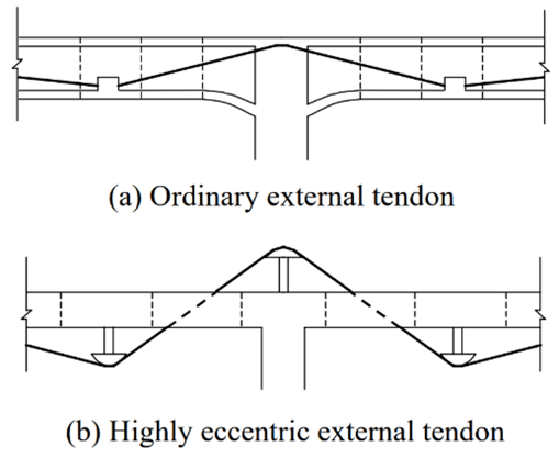 Ordinary vs. Highly Eccentric External Tendon