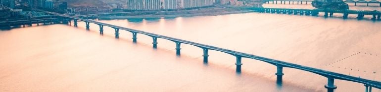 Puentes segmentales