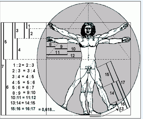 Vitruvian man-1